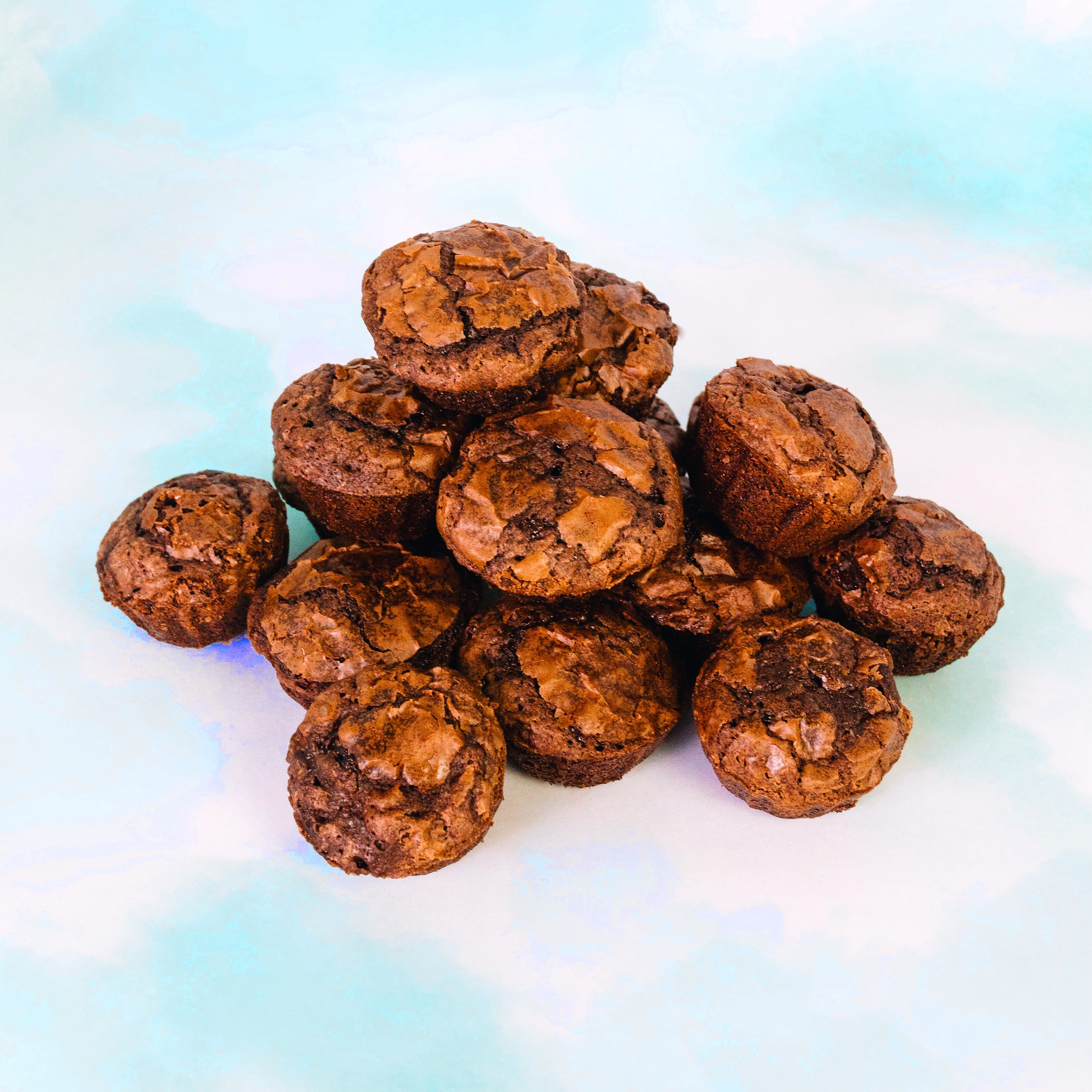 Brownie Cake Bites - 2 Dozen